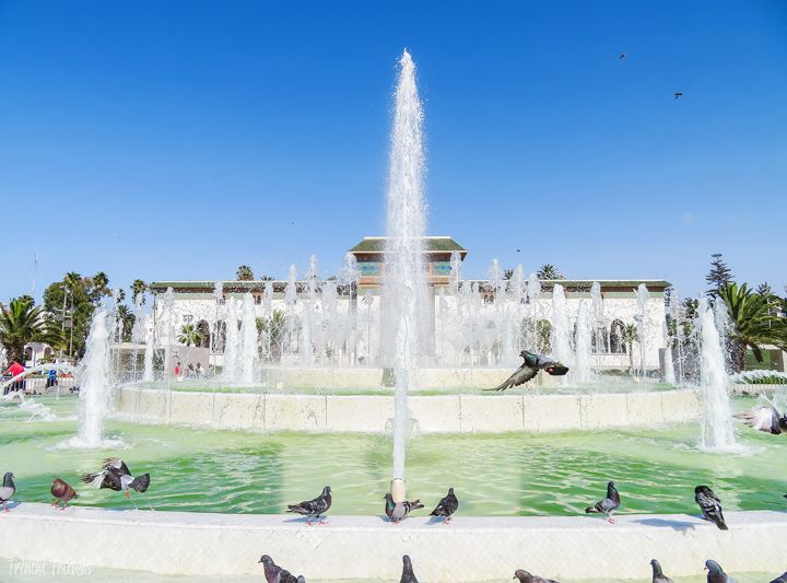 Casablanca Image 3